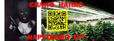 МДПВ Сланцы