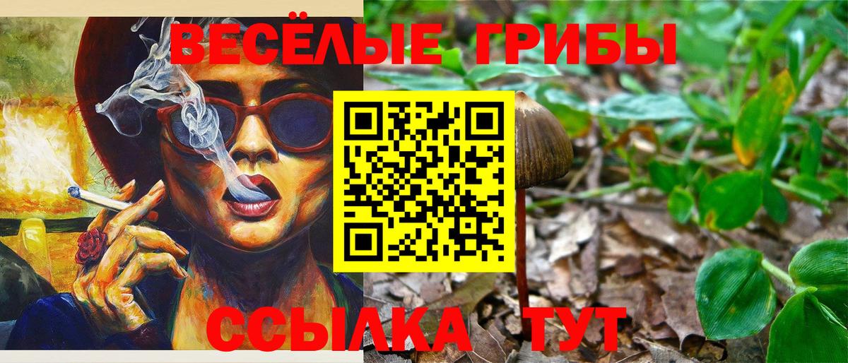 Галлюциногенные грибы MAGIC MUSHROOMS  Псилоцибиновые грибы Cubensis  закладка  Псков  Вход с VPN 